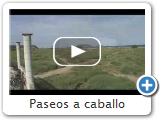 Paseos a caballo